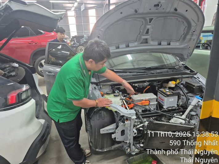 Xe điện VinFast - DBV247